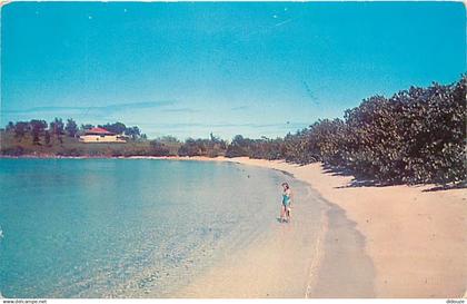 Antilles - Iles Vierges Américaines - U S Virgin Islands - Beautiful Beaches unlimited - This one is Caneel Bay, St. Joh