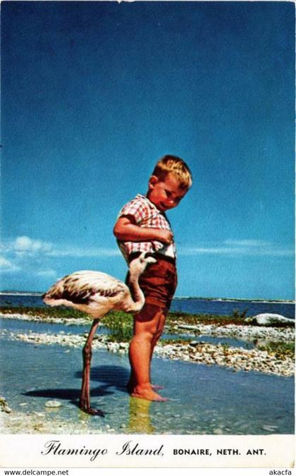 CPM AK Flamingo Island BONAIRE (750216)