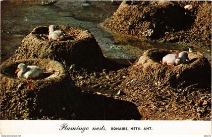 CPM Flamingo nests BONAIRE (750227)