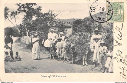 CPA ILES VIERGES / VIEW OF St THOMAS / ANTILLES