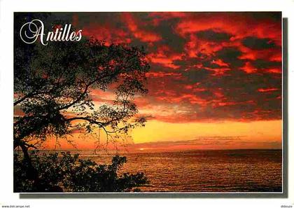 Antilles - Antilles Francaise - Coucher de soleil - Carte Neuve - CPM - Voir Scans Recto-Verso