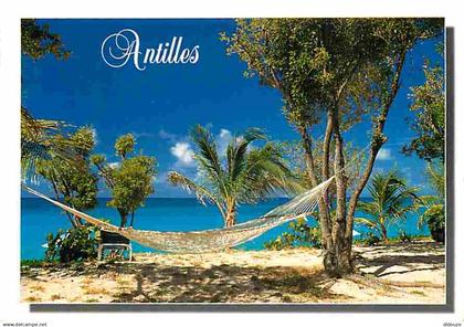 Antilles - Antilles Francaise - Plages - CPM - Voir Scans Recto-Verso