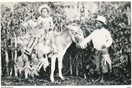 HAITI - Carte Photo - Selling Pineapple