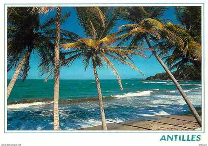 Antilles - Antilles Francaise - Plages - CPM - Voir Scans Recto-Verso