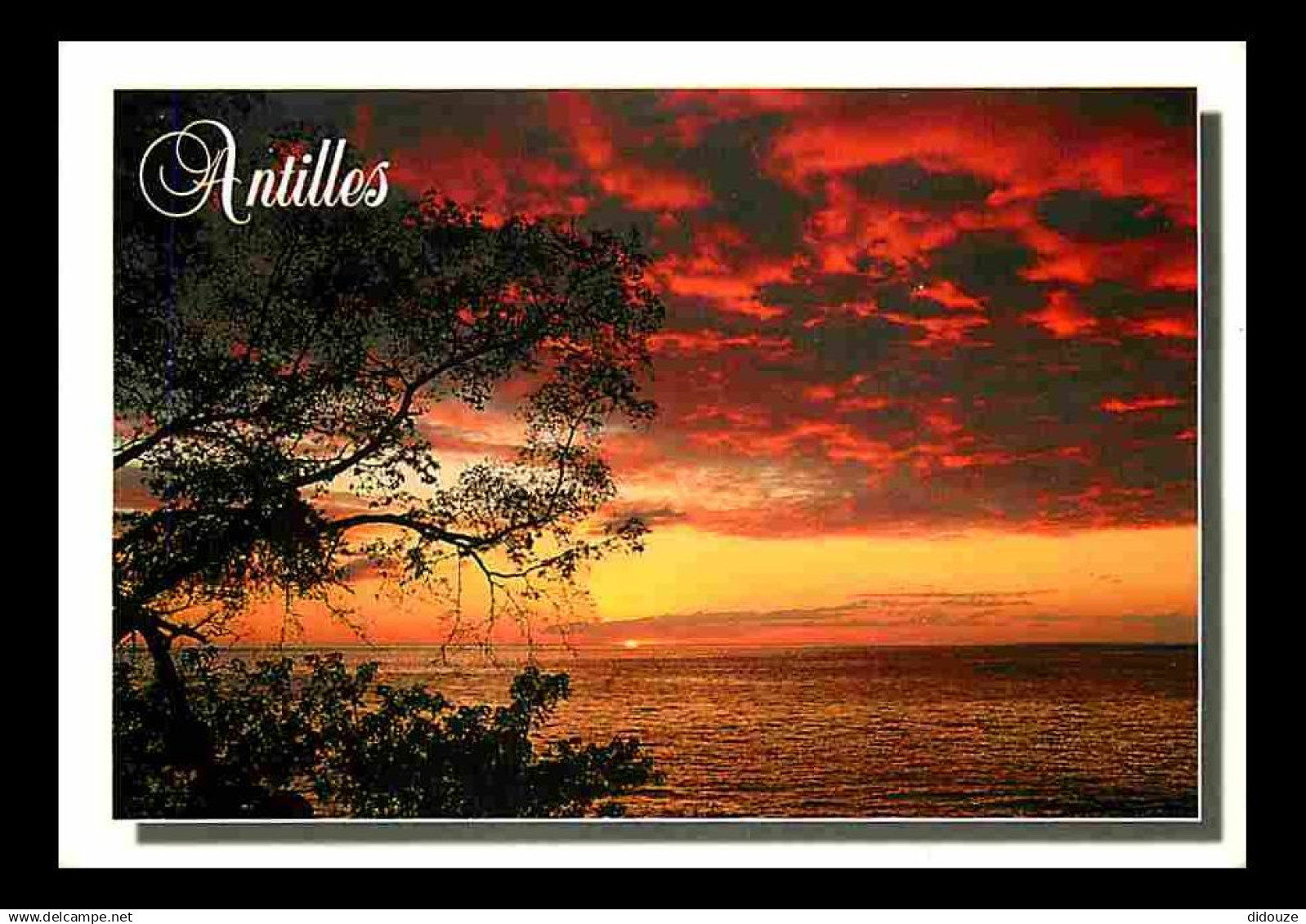 Antilles - Antilles Francaise - Coucher de soleil - Carte Neuve - CPM - Voir Scans Recto-Verso