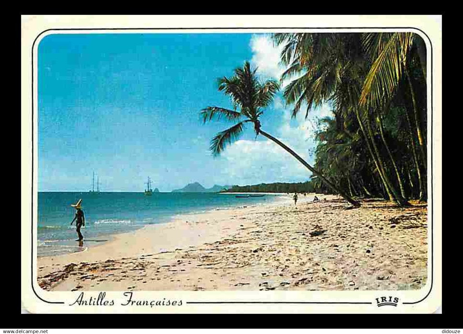 Antilles - Antilles Francaise - Plage de cocotiers - CPM - Voir Scans Recto-Verso