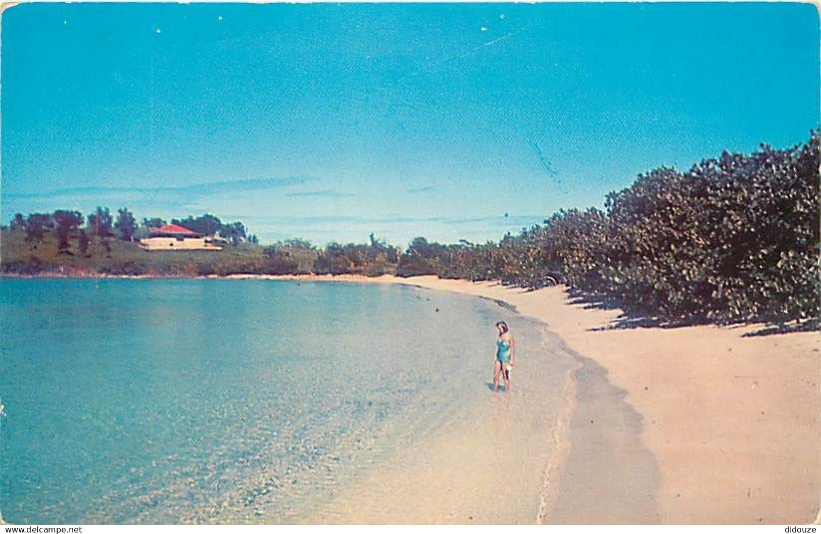 Antilles - Iles Vierges Américaines - U S Virgin Islands - Beautiful Beaches unlimited - This one is Caneel Bay, St. Joh