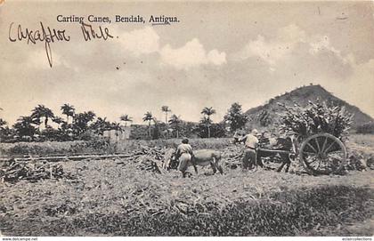 Antilles  .Antigua      Carting Canes Bendals    (voir scan)