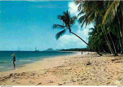 Antilles - Plage - CPM - Voir Scans Recto-Verso