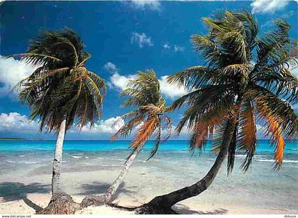 Antilles - Plage des Antilles - CPM - Voir Scans Recto-Verso