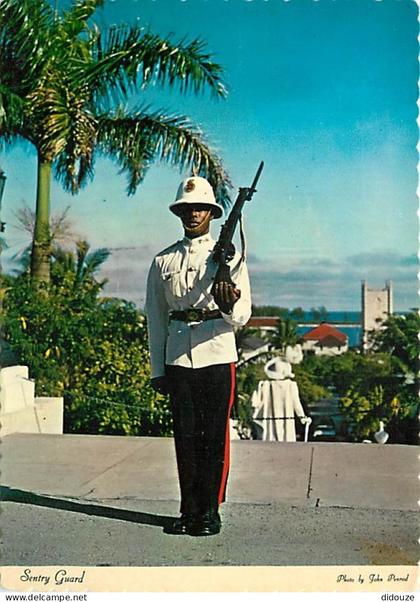 Antilles - Bahamas - Sentry Guard - CPM - Voir Scans Recto-Verso