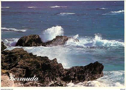 Antilles - Bermudes - Bermuda - CPM - Voir Scans Recto-Verso