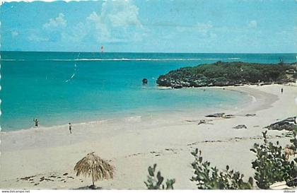 Antilles - Bermudes - Bermuda - John Smith's Bay - CPSM format CPA - Voir Scans Recto-Verso