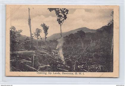 DOMINICA - Opening Up Lands - Publ. Geo. E. Pinard Photo Series C. G. Phillip