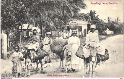 Carte POSTALE  Ancienne  de JAMAIQUE