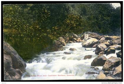 cpa  Jamaica Wag water River near Castleton Gardens  ...  Jamaique     MAI13