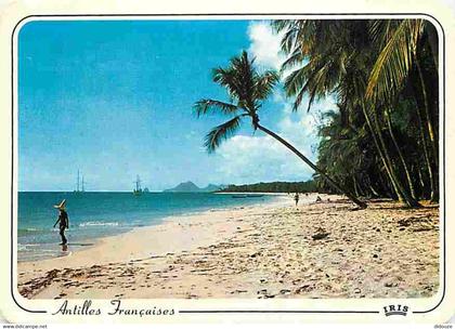 Antilles - Antilles Francaise - Plage de cocotiers - CPM - Voir Scans Recto-Verso