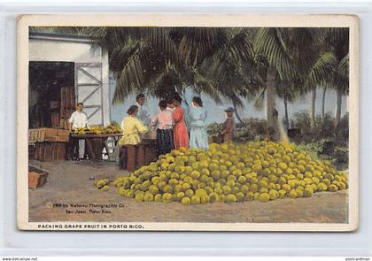 Puerto Rico - Paking Grape Fruit - Publ. Waldrop