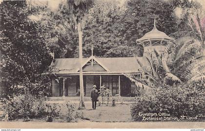 Saint Lucia - CASTRIES - Curator's office, Botanical garden - THE POSTCARD IS LIGHTLY UNSTICKED - Publ. Clarke & Co.