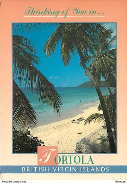 Antilles - Iles Vierges Britaniques - British Virgin Islands - Little Apple Bay - Tortola - CPM - Voir Scans Recto-Verso