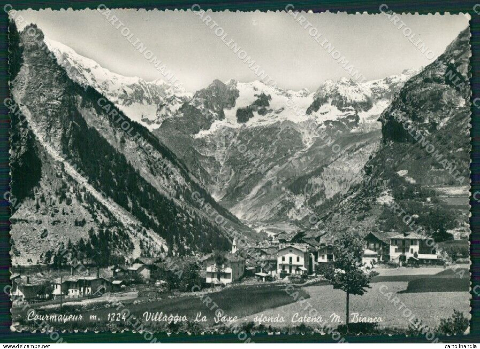 Aosta Courmayeur La Saxe Catena Monte Bianco ABRASA Foto FG cartolina KB1966