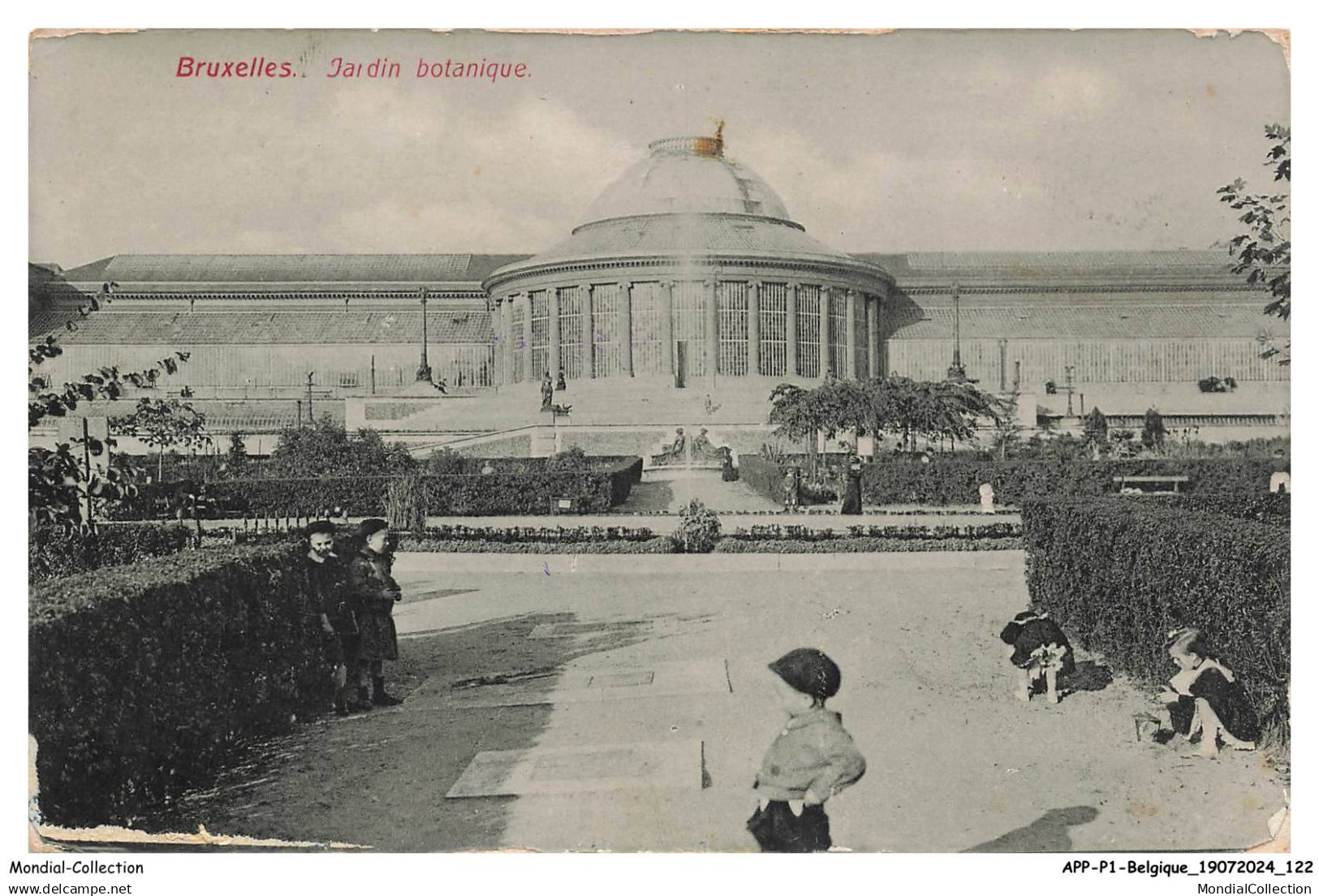 APPP1-0062-BELGIQUE - BRUXELLES - jardin botanique