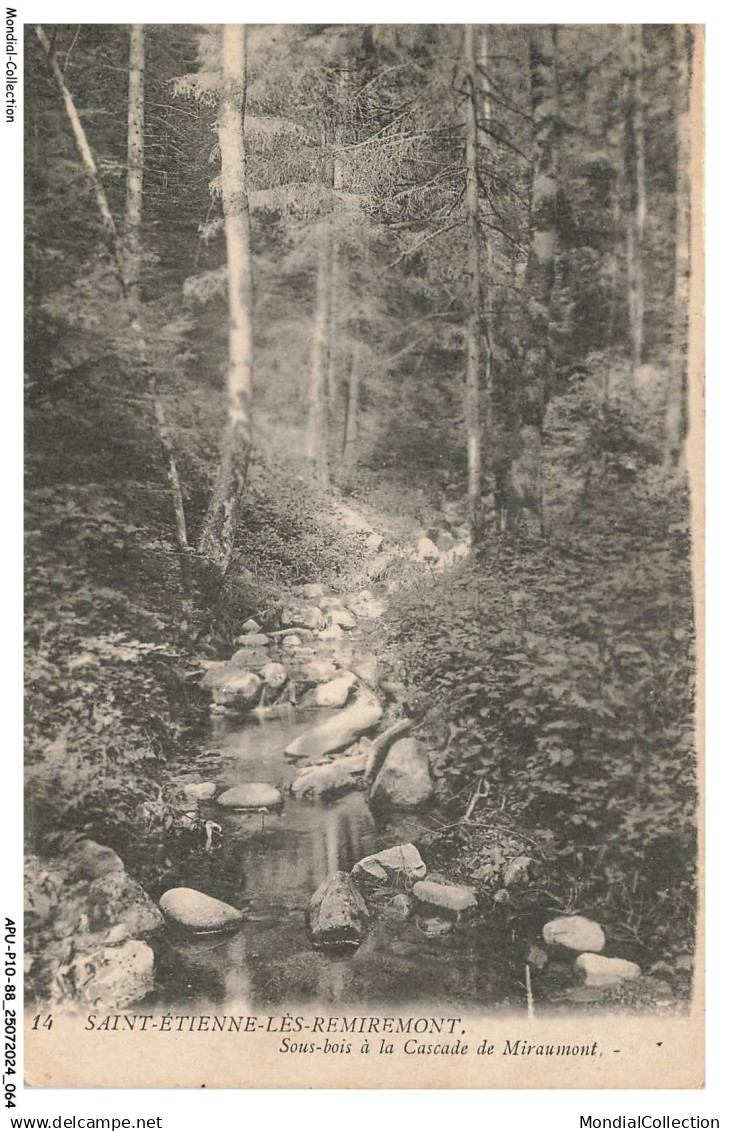 APUP10-0606-88 - SAINT-ETIENNE-LES-REMIREMONT - sous-bois à la cascade de miraumont