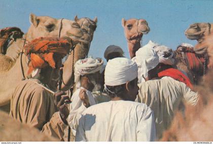 Saudi Arabia - Camel Market