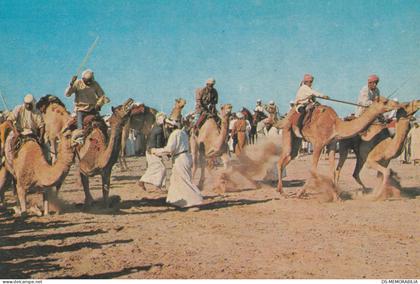 Saudi Arabia - Camel Racing