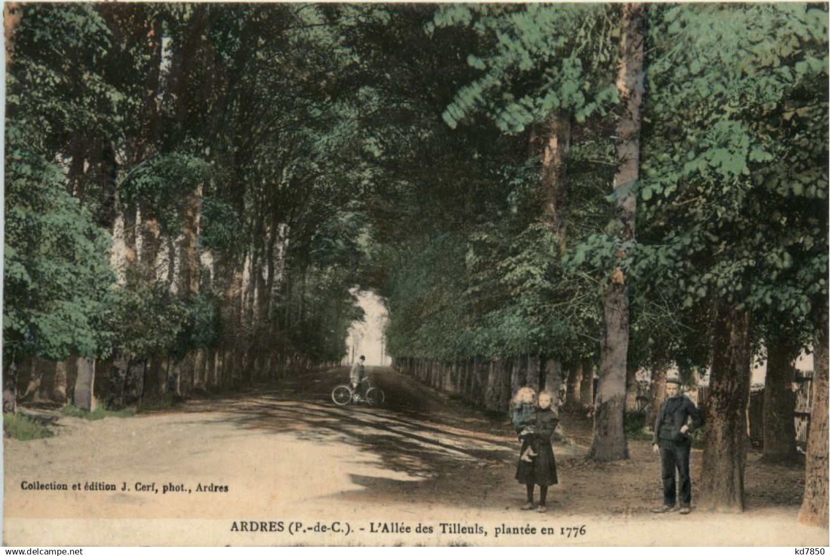 Ardres - L Allee des Tilleuls