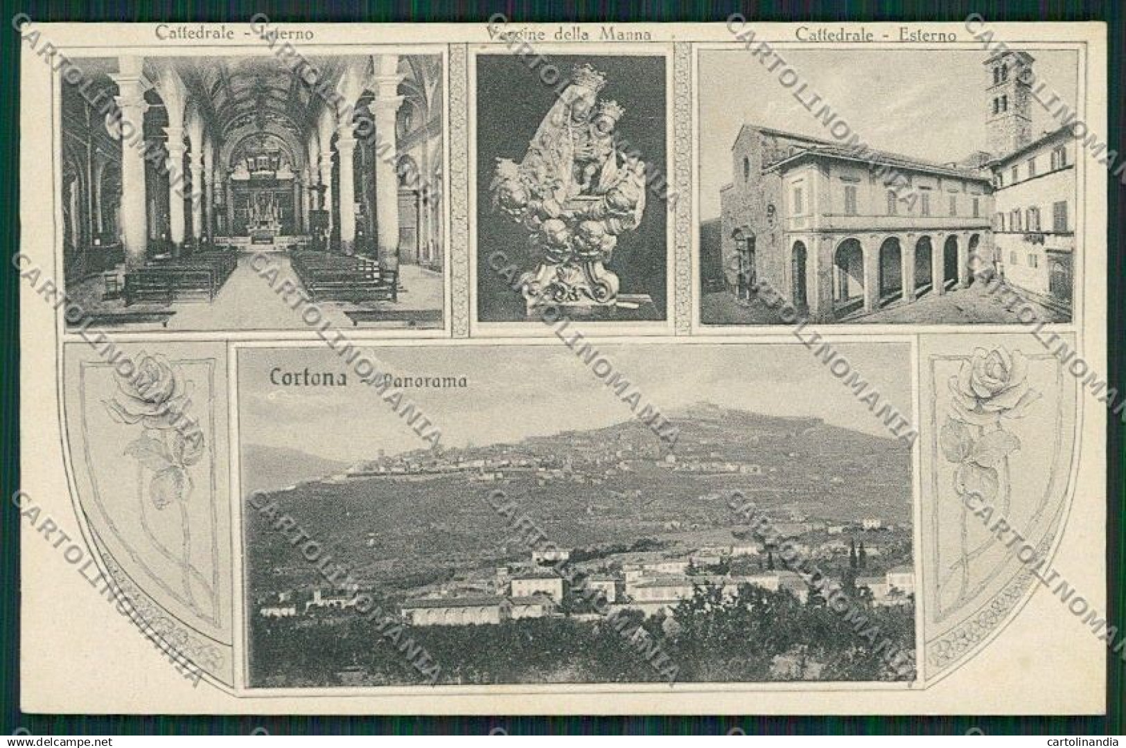 Arezzo Cortona cartolina QQ3377