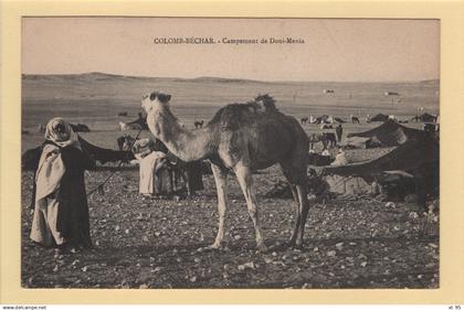 Colomb Bechar - Campement de Doui Menia