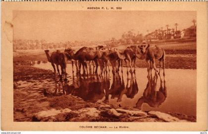 CPA ALGERIA BECHAR COLOMB-BECHAR - La Riviere (1188659)