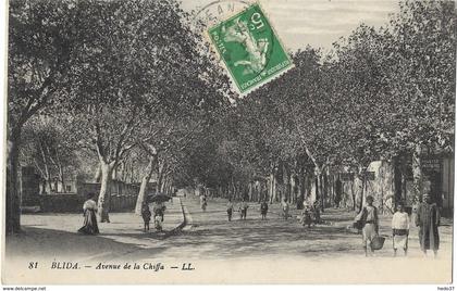 Blida - Avenue de la Chiffa