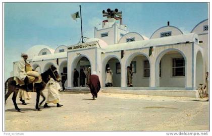 Afrique - Algérie - EL oued l´hotel de ville - âne