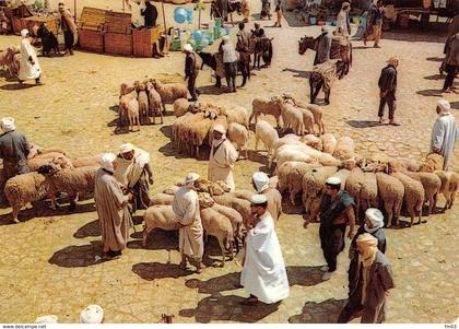 Ghardaïa