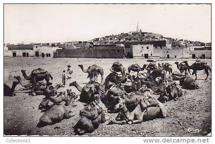 GHARDAIA ... CARAVANE DEVANT LA VILLE