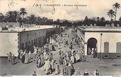 LAGHOUAT - Avenue Cassaigne