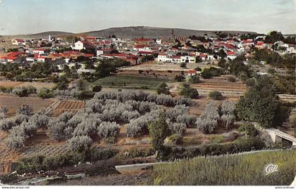 SAIDA - Vue générale