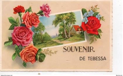 Tébessa Fantaisie "Souvenir de Tébessa" fleurs roses