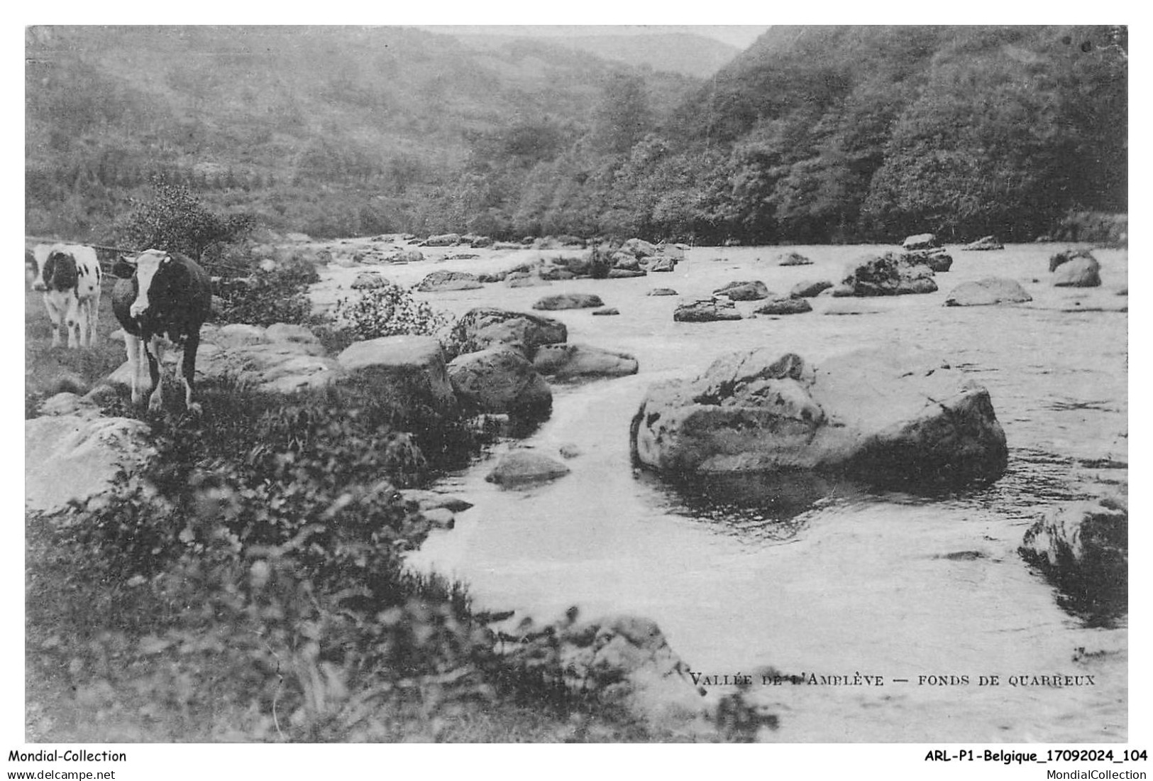 ARLP1-0053-BELGIQUE - LIEGE - Vallée de l'ambiève - Fonds de quarreux