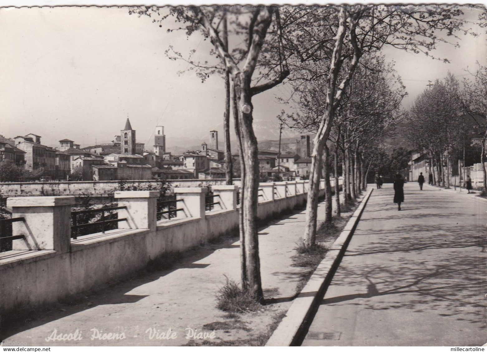 # ASCOLI PICENO: VIALE PIAVE