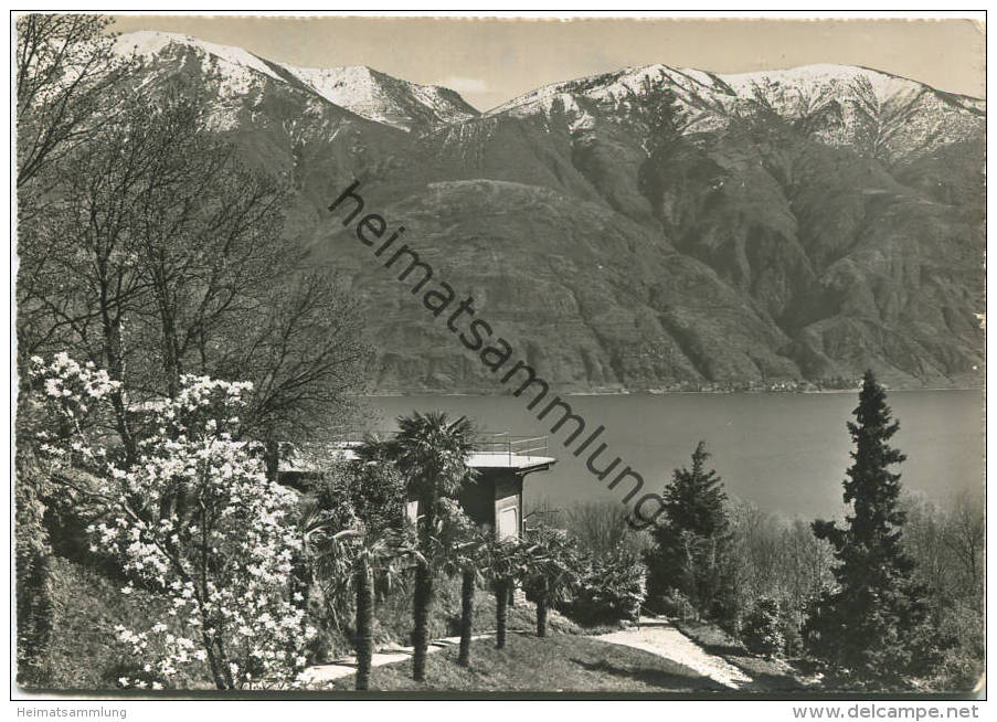 Ascona - Foto-AK Grossformat - Edizioni Foto Pancaldi Ascona gel. 1957