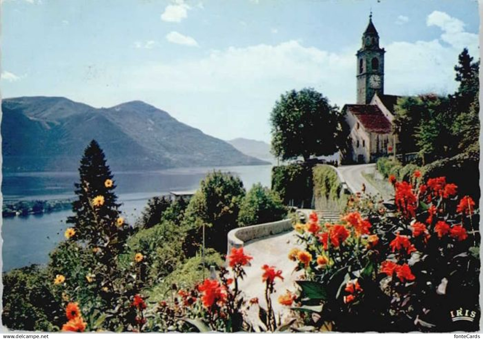 Ascona TI Ascona  x