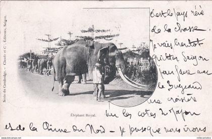 CAMBODGE - Elephant Royal