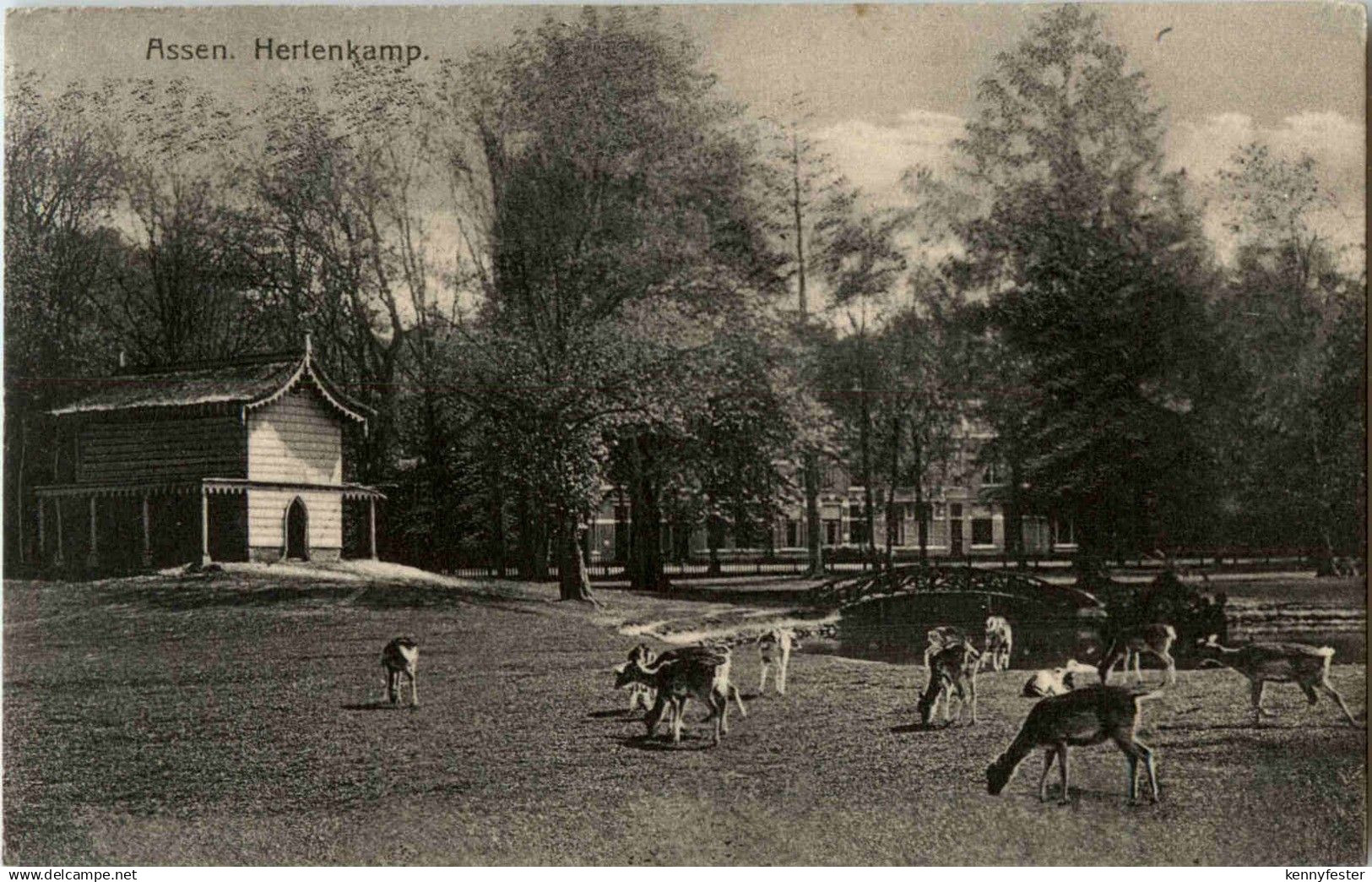 Assen - Hertenkamp