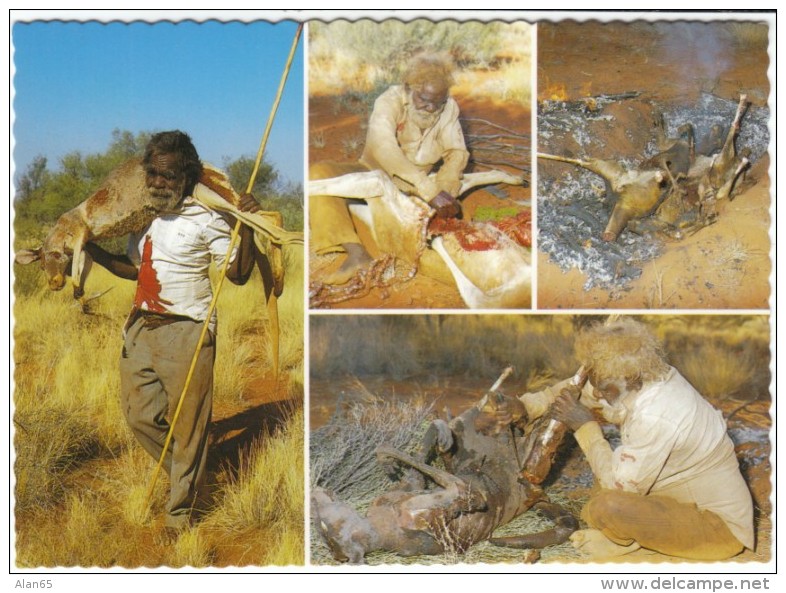 Australia Aborigine Kangaroo Hunting &amp; Cooking, c1970s Vintage Postcard