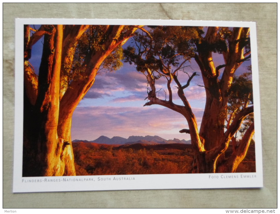 Australia   - Flinders Ranges   National Park   -S.A. - German  Postcard    D120997