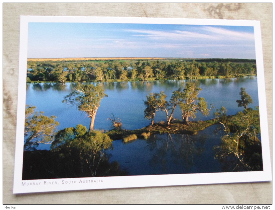 Australia   Murray River  -S.A. - German  Postcard    D121007