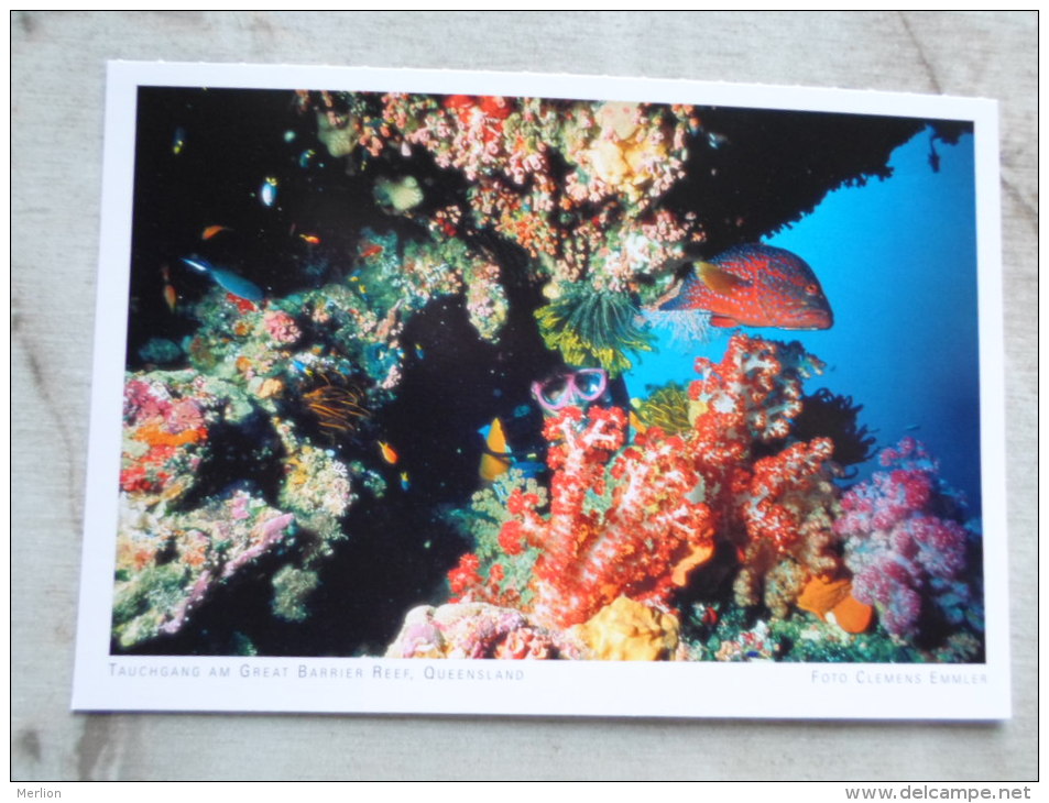 Australia - Tauchgang  am Great Barrier Reef - fishes   - Queensland  -  German  Postcard    D121131